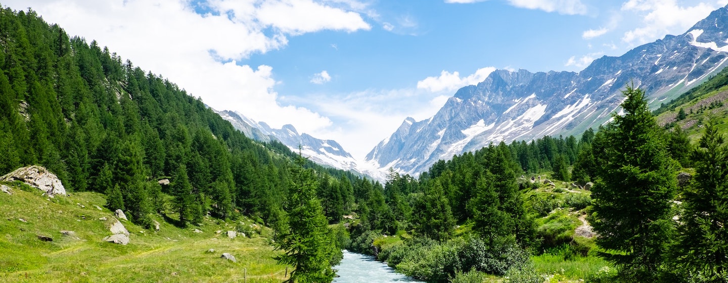 A river flows through a green forested valley with tall pine trees, surrounded by snow-capped mountains under a partly cloudy sky.